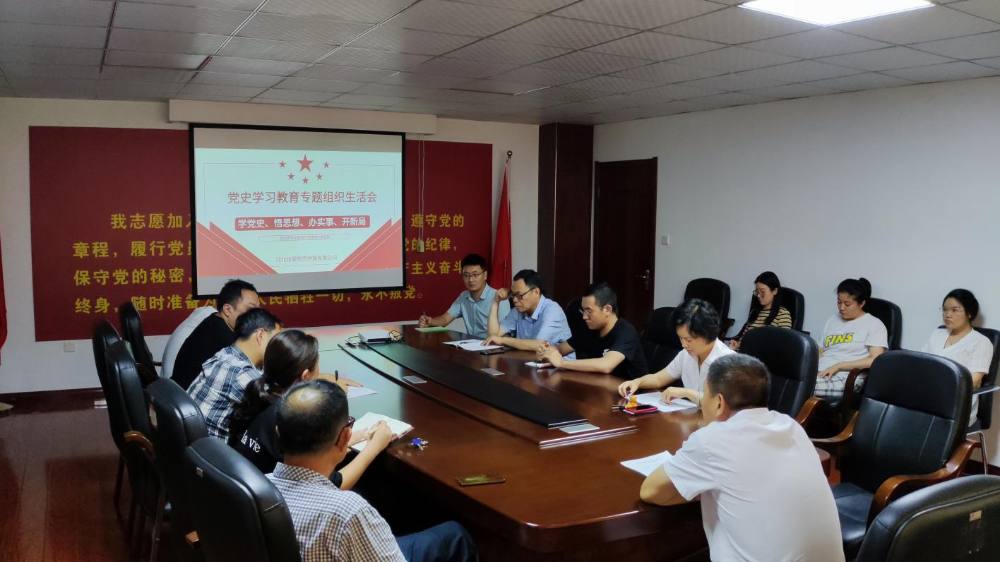 纺联公司召开党史学习教育专题组织生活会